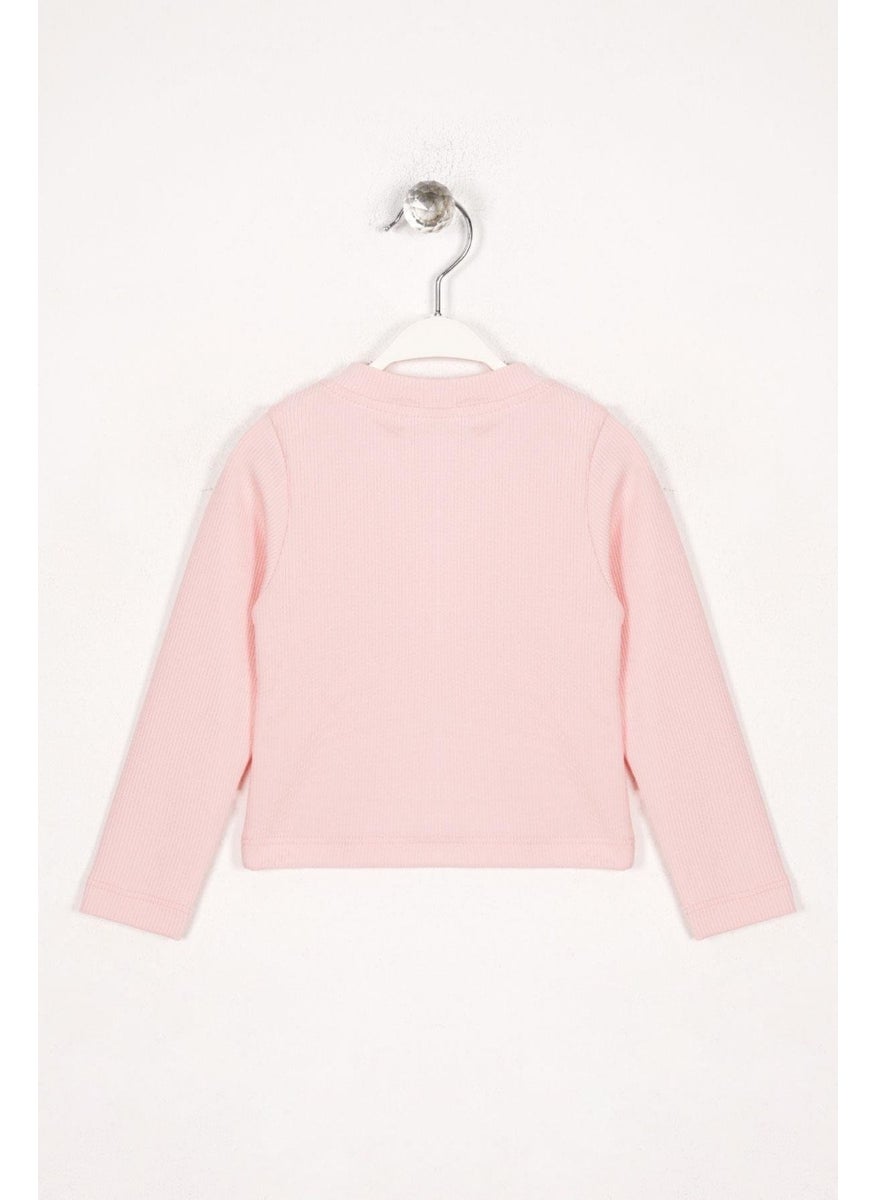 Crew Neck Long Sleeve Basic Unprinted Pink Color Girl Bodysuit - pzsku/Z4D50C339C154D1DD1F0CZ/45/_/1733933724/ea705144-9634-4b2f-808c-e7378db5df90