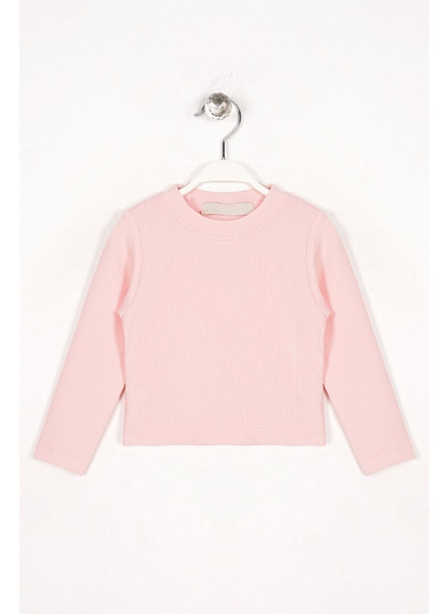 Crew Neck Long Sleeve Basic Unprinted Pink Color Girl Bodysuit - pzsku/Z4D50C339C154D1DD1F0CZ/45/_/1733933828/fe36f68c-068f-4a20-bf50-aa719b248a56