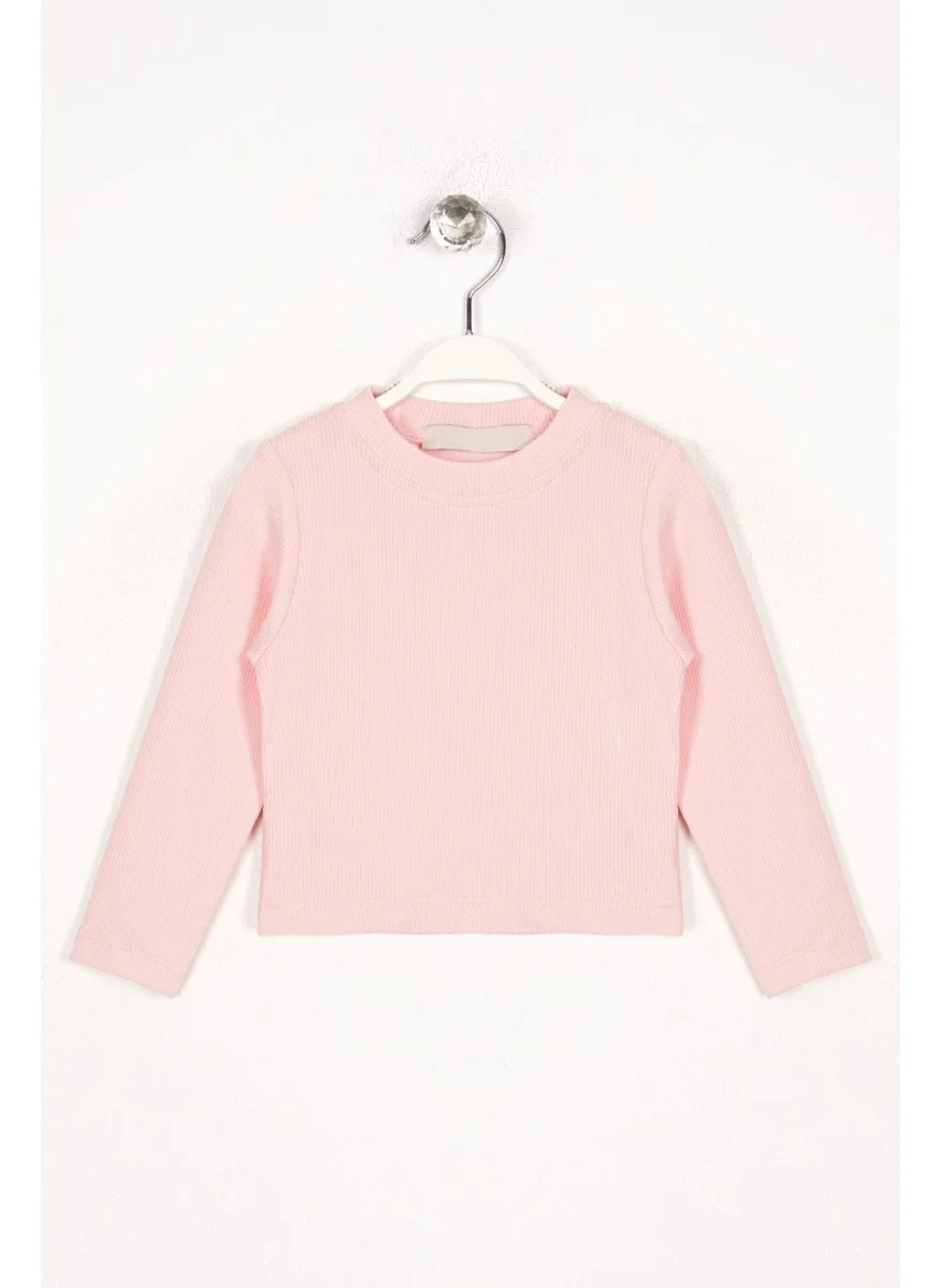 وي وي Crew Neck Long Sleeve Basic Unprinted Pink Color Girl Bodysuit