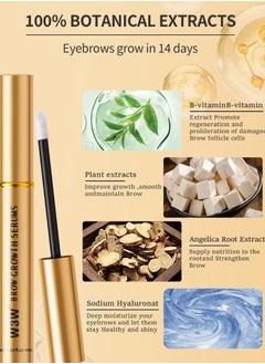 W3W Eyebrow Growth Serum Eyebrow Enhancing Serum Nourishing Brow Serum Gentle No Irritating Lash Serum Gentle Formula Longer Fuller and Thicker Flexible Lashes Eyebrow Enhancer Serum 4ml  - Image 2