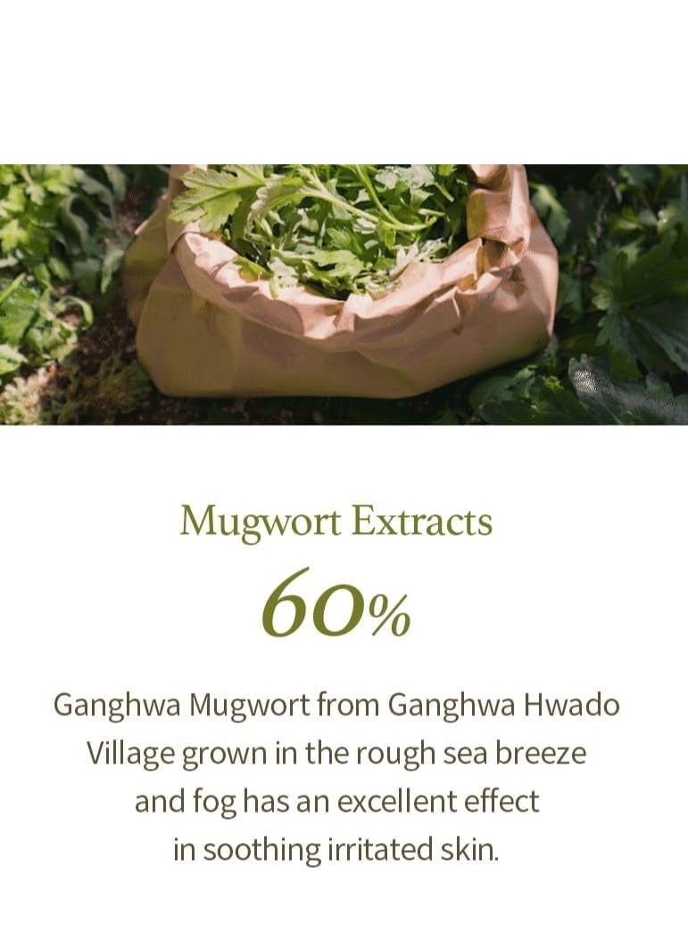 I'M FROM Mugwort Gel Cleanser 150 ml, Mugwort Extract 60%, Korean Cleanser, Natural, Herbal, Calming, Soothing, Micro Cleansing  - Image 3