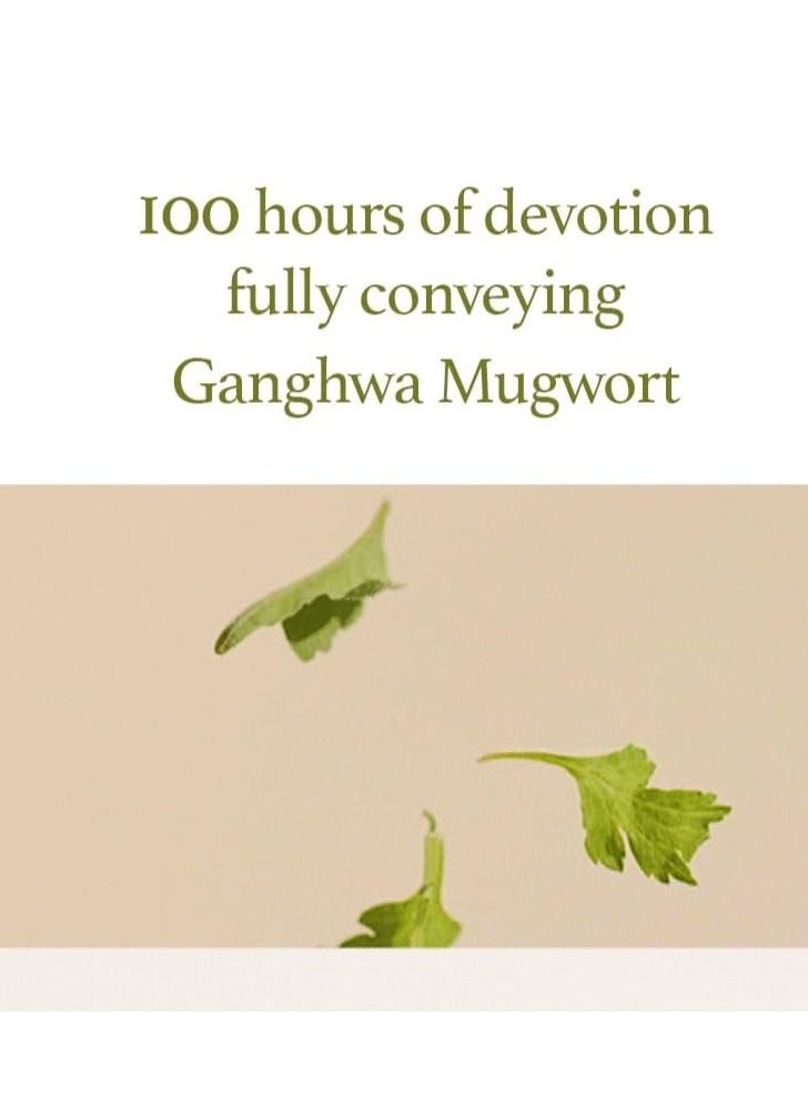 I'M FROM Mugwort Gel Cleanser 150 ml, Mugwort Extract 60%, Korean Cleanser, Natural, Herbal, Calming, Soothing, Micro Cleansing  - Image 4