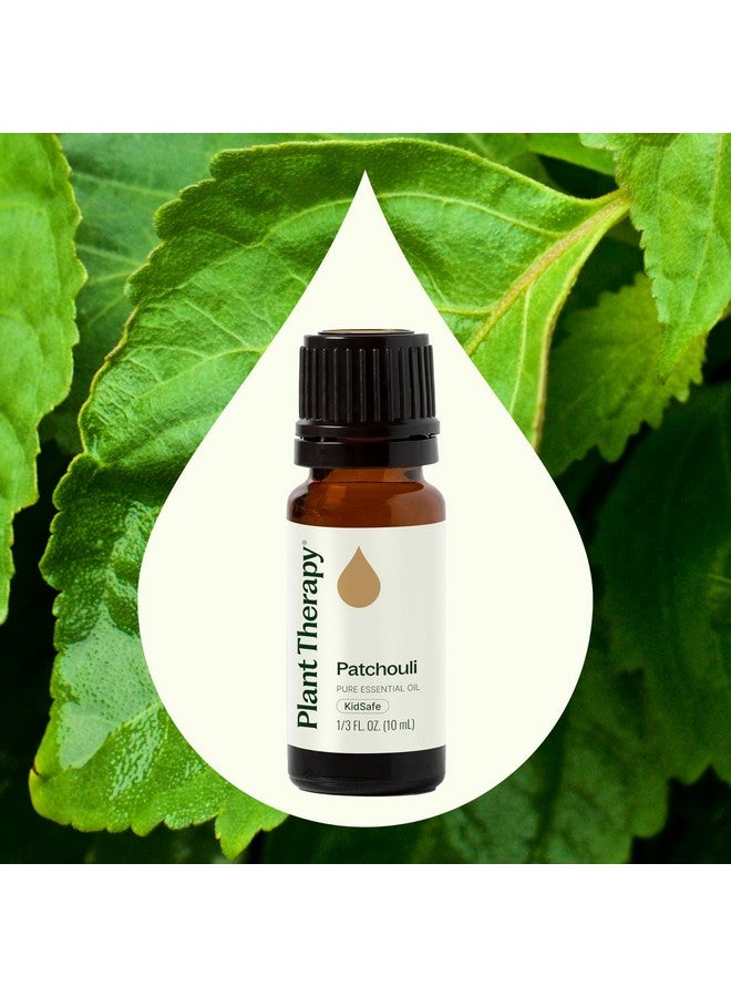 Plant Therapy Patchouli Essential Oil 100% Pure, Undiluted, Natural Aromatherapy, Therapeutic Grade 10 mL (1/3 oz) - Image 3