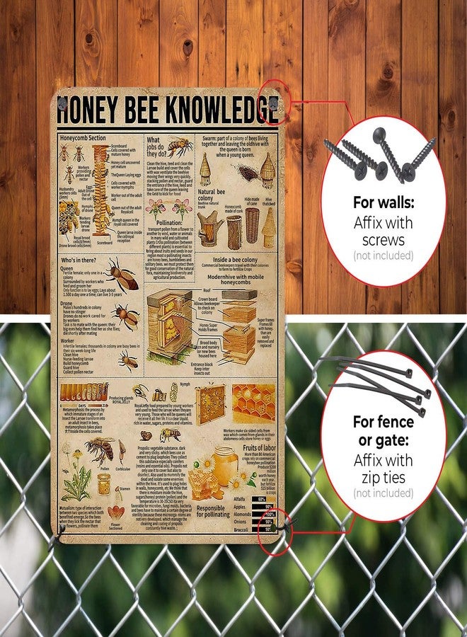 HYBLOM Vintage Honey Bee Knowledge Metal Sign - Rustic Bee Wall Art Tin Poster - Gift for Apiarists & Bee Lovers, Farmhouse, Kitchen & Cottage Decor 12x16 Inches - Image 4