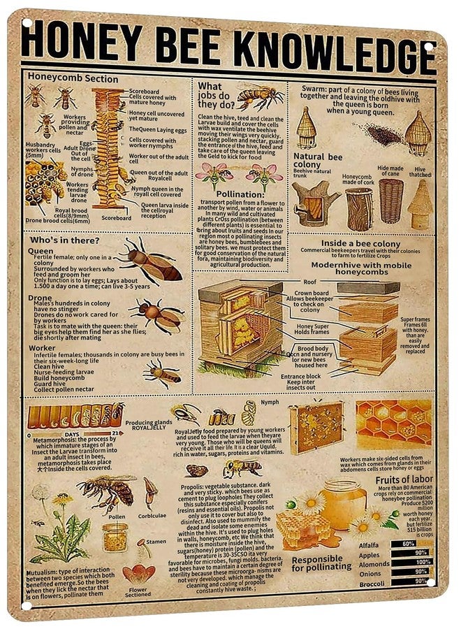 HYBLOM Vintage Honey Bee Knowledge Metal Sign - Rustic Bee Wall Art Tin Poster - Gift for Apiarists & Bee Lovers, Farmhouse, Kitchen & Cottage Decor 12x16 Inches - Image 1