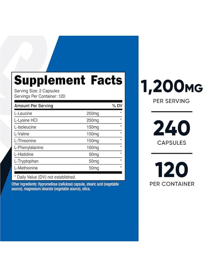 نوتريكوست، بيرفورمانس، الأحماض الأمينية الأساسية، 240 كبسولة - Image 4