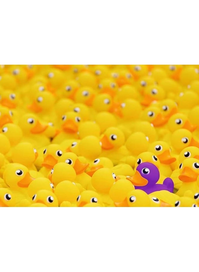 Ravensburger Quietscheenten 1000P Puzzle - Image 2