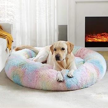 ZEXSAZONE Summer Round Donut Pet Bed for Cats and Puppies Dogs, Cozy and Plush, Raised Bedside Support, Both Sides Use Like 2 in One, Washable, Sizes for Small, Medium, and Large Pets. (Rainbow) - Image 2