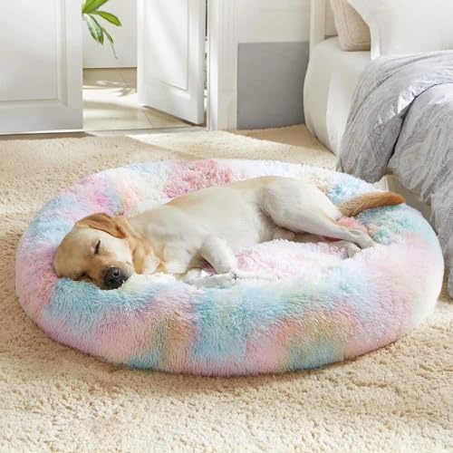 ZEXSAZONE Summer Round Donut Pet Bed for Cats and Puppies Dogs, Cozy and Plush, Raised Bedside Support, Both Sides Use Like 2 in One, Washable, Sizes for Small, Medium, and Large Pets. (Rainbow) - Image 1