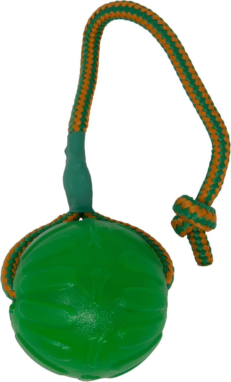 Starmark Everlasting Fun Ball on a Rope Dog Toy for Medium to Large Breeds - Image 1