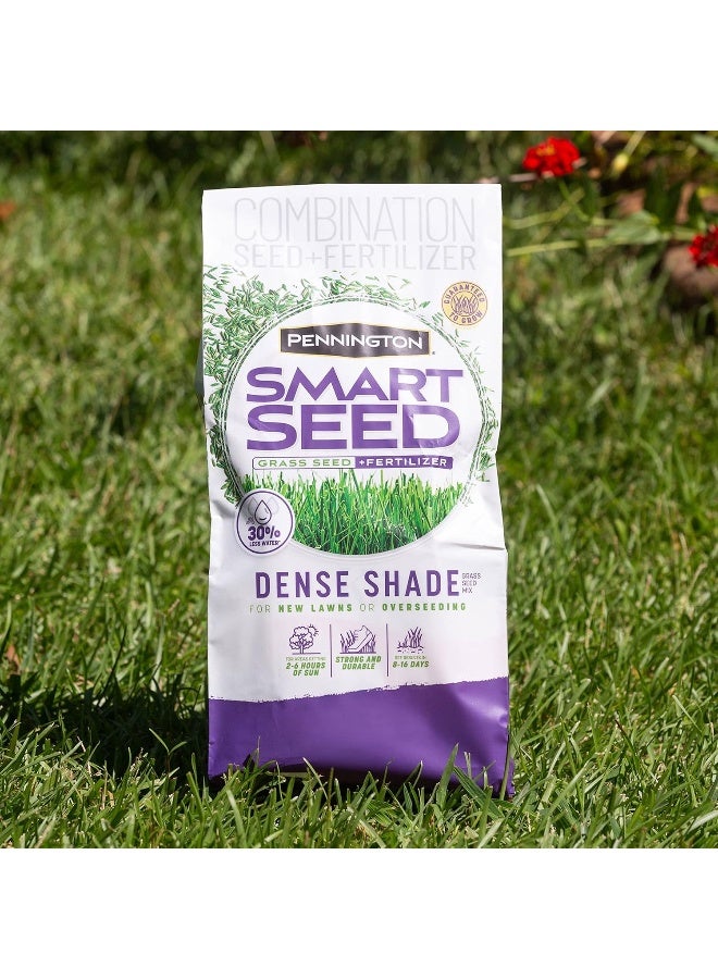 Generic Smart Seed Dense Shade Grass Mix 3 lb  - Image 5