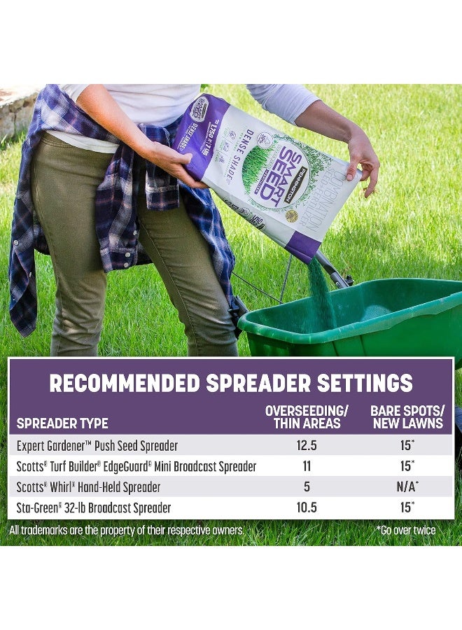 Generic Smart Seed Dense Shade Grass Mix 3 lb  - Image 4