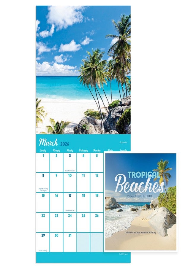 TF Publishing 2026 Tropical Beaches Mini Calendar with Monthly Grids for Appointments and Scheduling - Vertical Small Wall Calendar 2026 w/Premium Gloss Paper for Home and Office Organization - 7x7in - Image 1