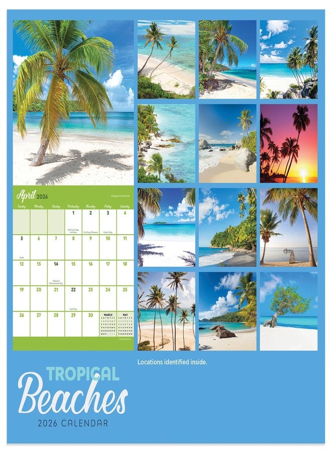 TF Publishing 2026 Tropical Beaches Mini Calendar with Monthly Grids for Appointments and Scheduling - Vertical Small Wall Calendar 2026 w/Premium Gloss Paper for Home and Office Organization - 7x7in - Image 4