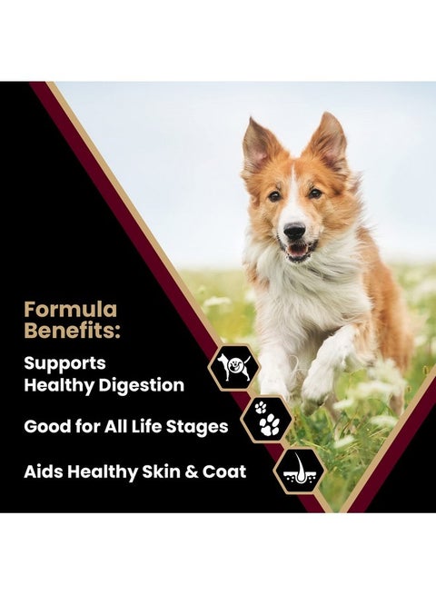 comfortable dog food to victor brand Victor Classic Professional Dry Dog Food