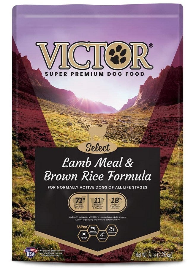 Victor Super Premium Dog Food - Lamb Meal & Brown Rice Formula - Dry Dog Food for All Normally Active Dogs of All Life Stages - Ideal for Dogs with Meat Protein Allergies, 5 lb - Image 1