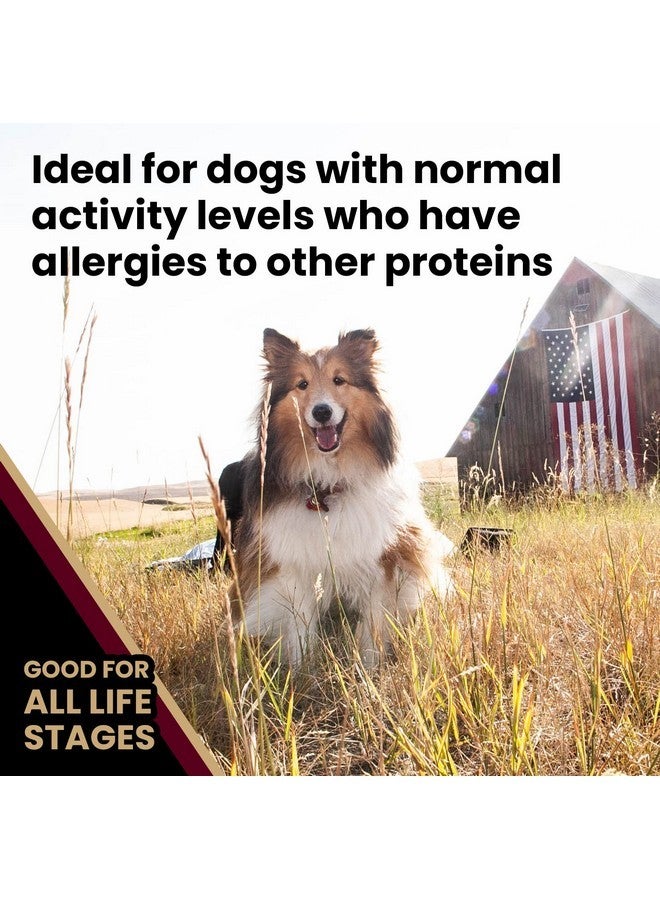 Victor Super Premium Dog Food - Lamb Meal & Brown Rice Formula - Dry Dog Food for All Normally Active Dogs of All Life Stages - Ideal for Dogs with Meat Protein Allergies, 5 lb - Image 5