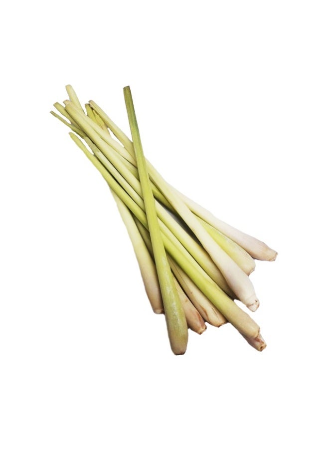 Lemongrass, 100g , Thailand