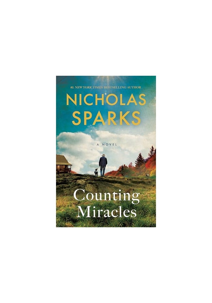 Counting Miracles: A Novel