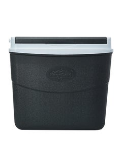 Cosmoplast Cosmoplast Keep Cold Plastic Picnic Cooler Icebox Lunchbox 20 Liters Grey  - Image 2