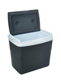 Cosmoplast Cosmoplast Keep Cold Plastic Picnic Cooler Icebox Lunchbox 20 Liters Grey  - Image 4