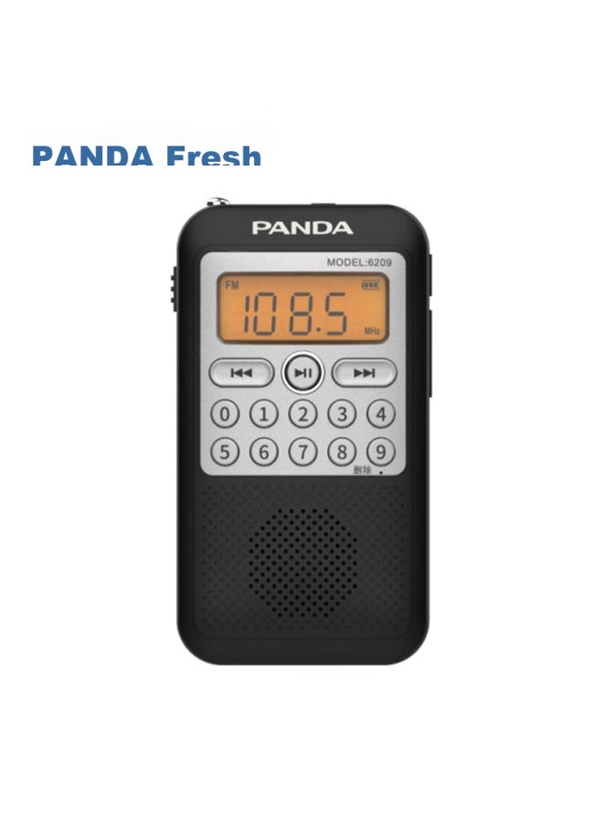 Panda 6209 Mini Radio, Full Band Portable, Card-insertable, Rechargeable, Semiconductor Stereo Broadcast For Elderly - Image 1