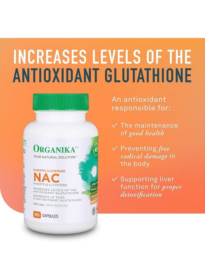 ORGANIKA Nac, 90 CT - Image 2