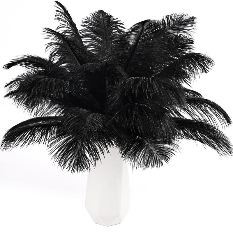 THARAHT Black Ostrich Feathers 24pcs Natural Bulk 8-10Inch 20cm-25cm for Crafts Wedding Party Centerpieces Halloween and Home Decoration Feathers - Image 1