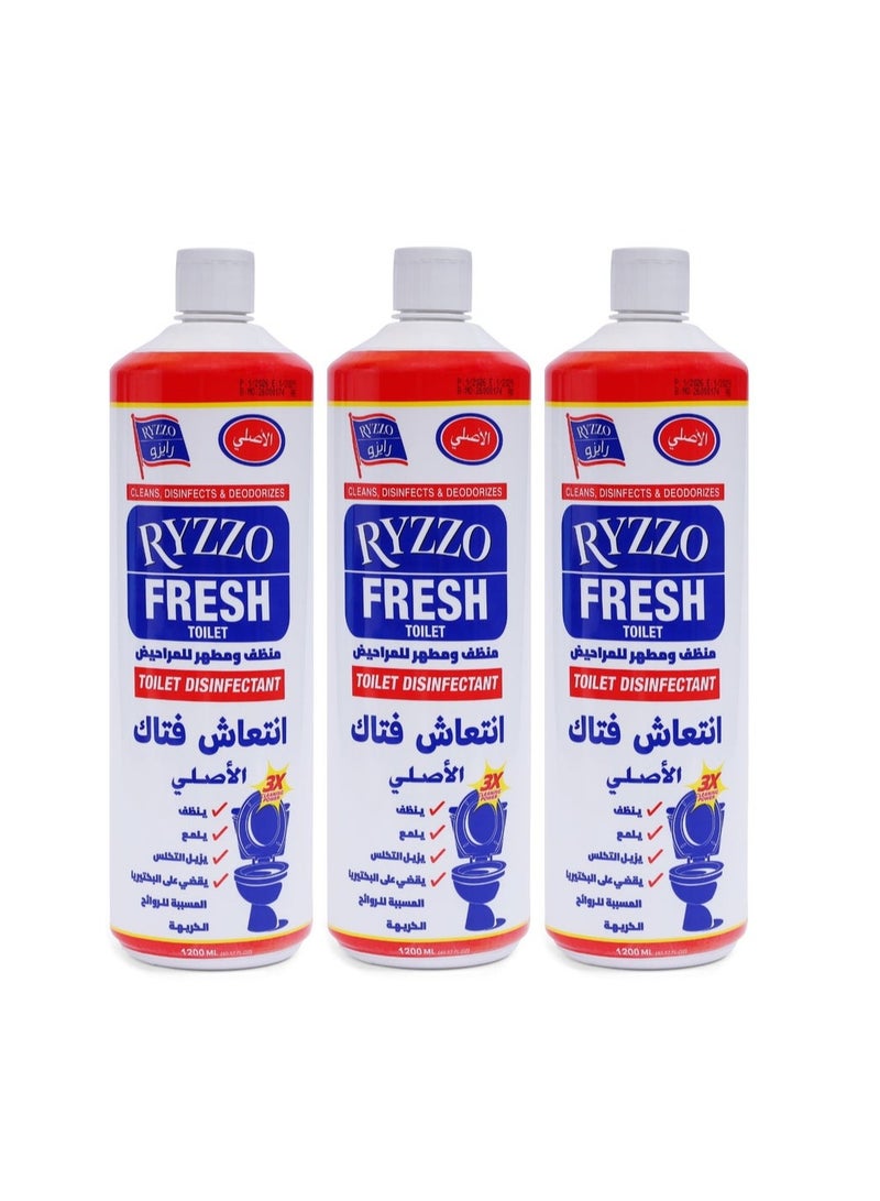 RYZZO TOILET DISINFECTANT 3X1200ML - Image 1