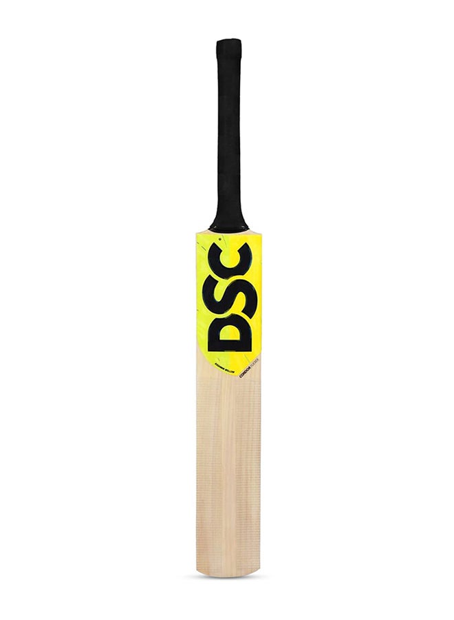 DSC Economy Cricket Kit For Mens and Boys (Beige, Size - 5, Left Handed) | Material: Kashmir Willow | Lightweight | Free Cover | Ready to play | For Intermediate Player - Image 3