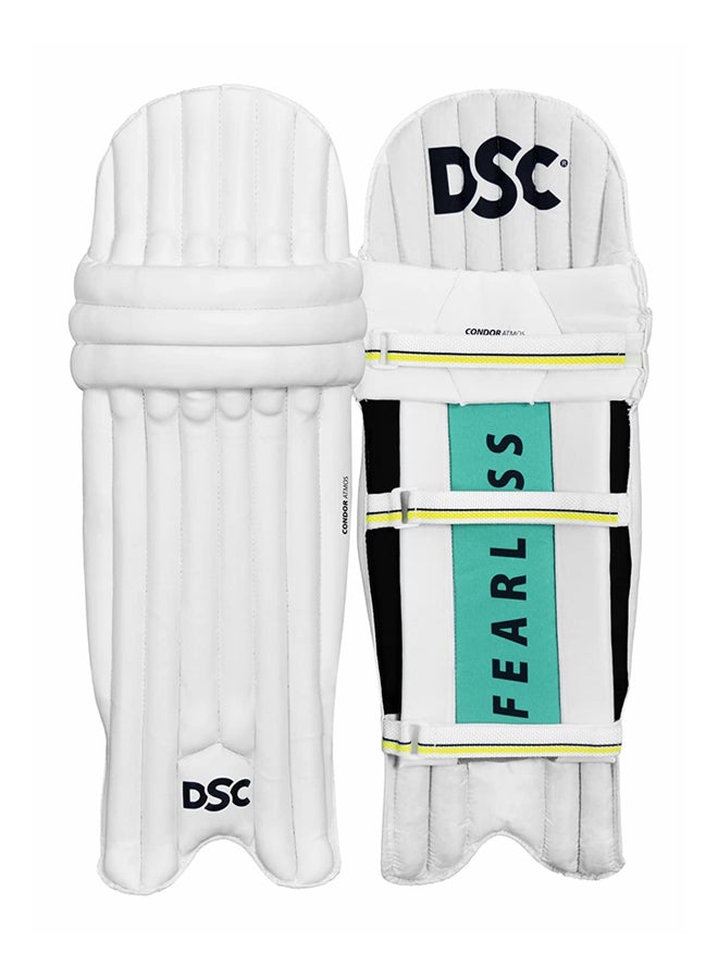 DSC Economy Cricket Kit For Mens and Boys (Beige, Size - 5, Left Handed) | Material: Kashmir Willow | Lightweight | Free Cover | Ready to play | For Intermediate Player - Image 2