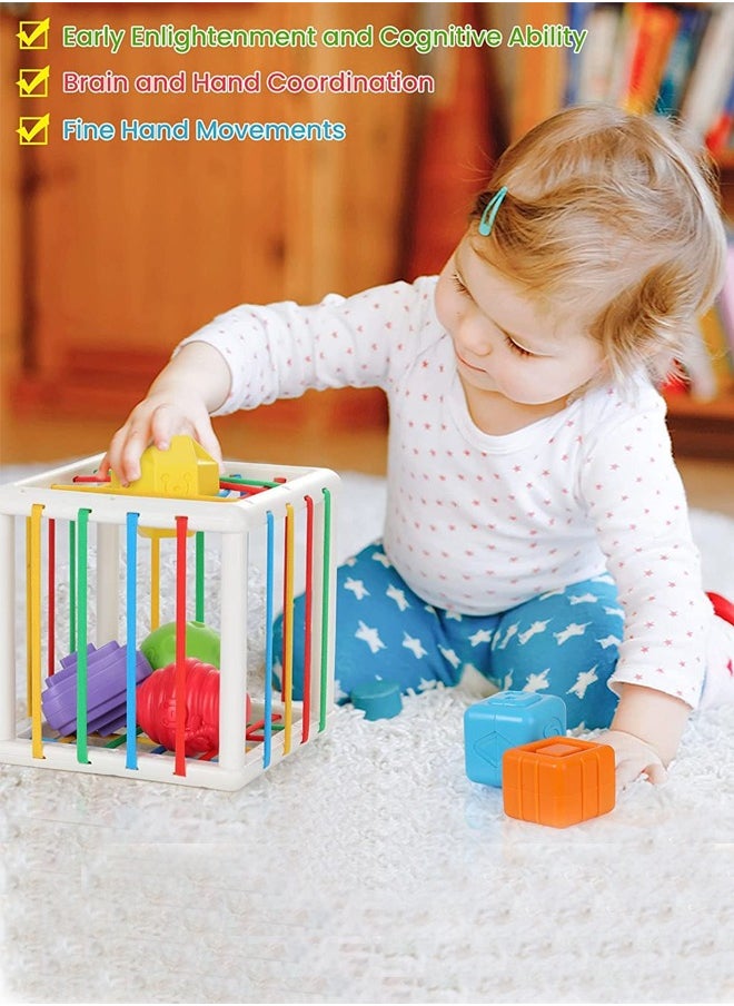 Baybee 6 Pcs Multi Sensory Shape Sorting Cube Toys for Kids with Elastic Bands 6 Different Shape Sorter Blocks for Kids Learning Stacking Sorting Blocks Toys for kids Toddlers 1+ Years Boy Girl