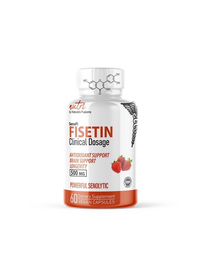 Nutri Fisetin 500mg 60 Count - Clinical Dosage - Fisetin Supplements - Powerful Senolytic Activator, Antioxidant, & Brain Support - Natural Polyphenols - 60 Count Fisetin Supplement