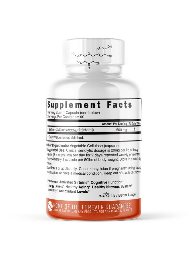 Nutri Fisetin 500mg 60 Count - Clinical Dosage - Fisetin Supplements - Powerful Senolytic Activator, Antioxidant, & Brain Support - Natural Polyphenols - 60 Count Fisetin Supplement