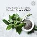 Pride of India Black Chia Seeds 125 lb  Whole Raw Chia Seeds for Smoothies Pudding Yogurt  Salad  High Fiber Omega 3  Calcium Rich Superfood  Vegan  Gluten Free - Image 4