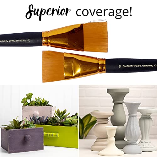 PLAID فرشاة مسطحة 50557E مزخرفة، (قطعتان)، تاكلون ذهبي - Image 3