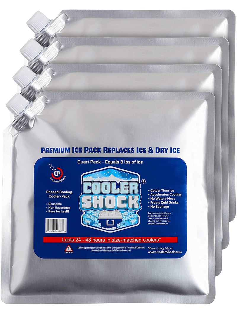Cooler Shock Ice Packs for Cooler - Long Lasting Reusable Freezer Packs for Coolers - Cooler Ice Packs for Camping Gear, Fishing, Road Trips, Beach Must Haves, Medium - Image 1