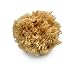 Lullingworth Natural Sea Wool Art Sponge Premium Professional Grade 56 Unbleached Excellent for Painting Decorating Texturing Marbling LimestoneVenetian Plaster Faux Finishes Crafts - Image 2