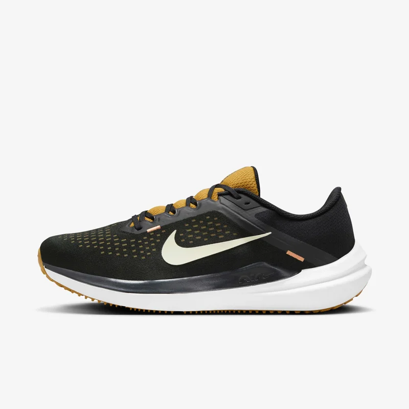 Nike Men's Winflo 10 Road Running Shoe