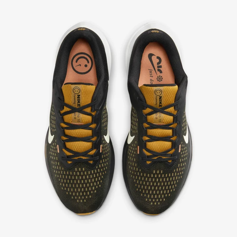 Nike Men's Winflo 10 Road Running Shoe