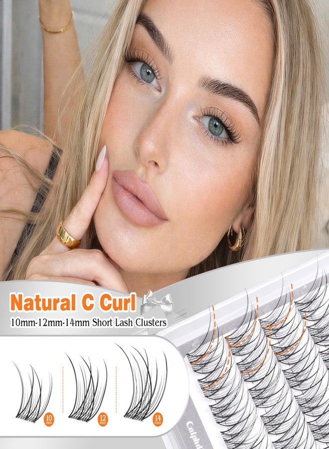 calphdiar Lash Clusters 10-12-14mm Eyelash Clusters Short Lashes Clusters Natural C Curly Cluster Eyelash Extensions Wispy Individual Lashes Clear Band Eyelashes Clusters 120PCS DIY Natural Lash Extension - Image 2
