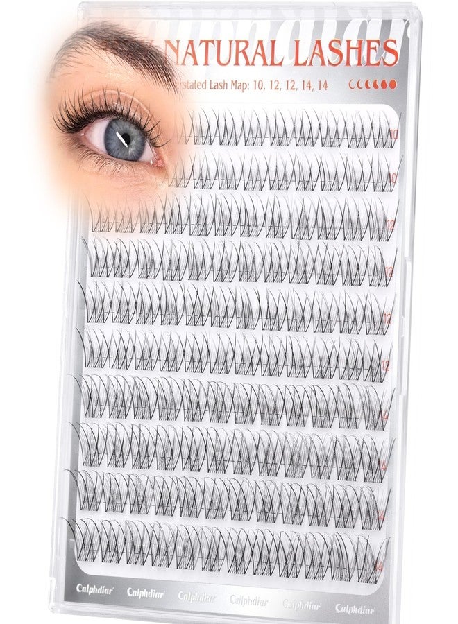 calphdiar Lash Clusters 10-12-14mm Eyelash Clusters Short Lashes Clusters Natural C Curly Cluster Eyelash Extensions Wispy Individual Lashes Clear Band Eyelashes Clusters 120PCS DIY Natural Lash Extension - Image 1