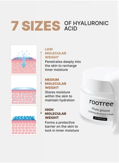 rootree Phyto Ground Calming Moisture Cream - Korean Skincare, Moisturizing Facial Care, K Beauty Intense Hydration, Vegan & Cruelty Free  - Image 4