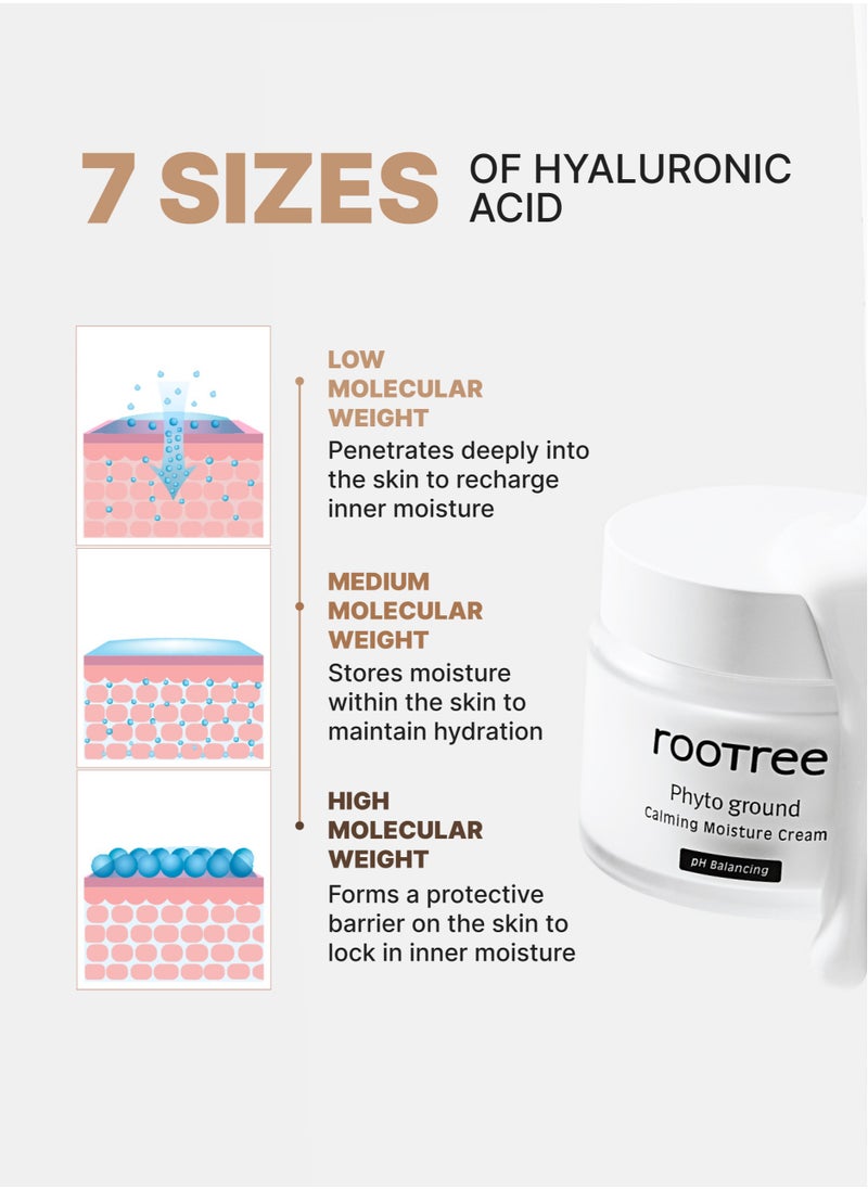 rootree - Phyto Ground Calming Moisture Cream - Korean Skincare, Moisturizing Facial Care, K Beauty Intense Hydration, Vegan & Cruelty Free - Image 1