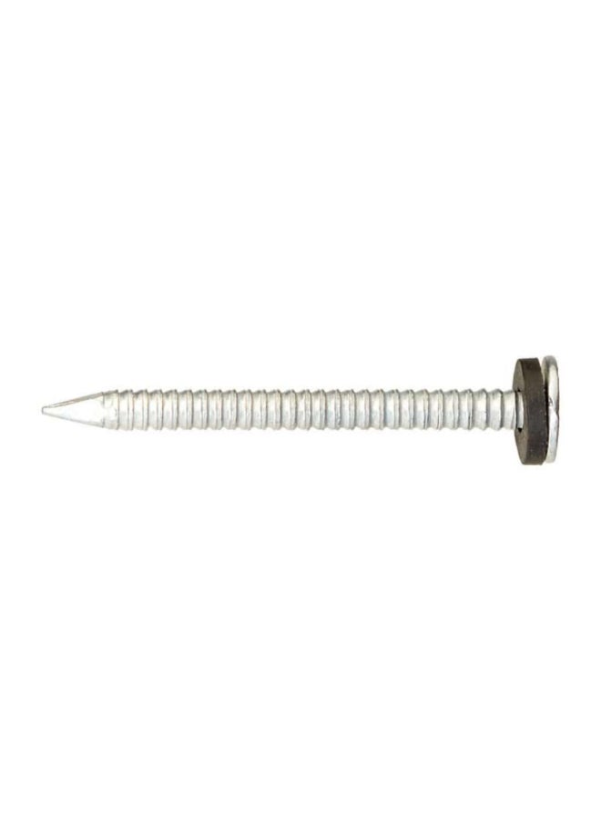 ACE Roofing Nails with Neoprene Washer Ring Shank Silver 2inch ACE5096870 - Image 2