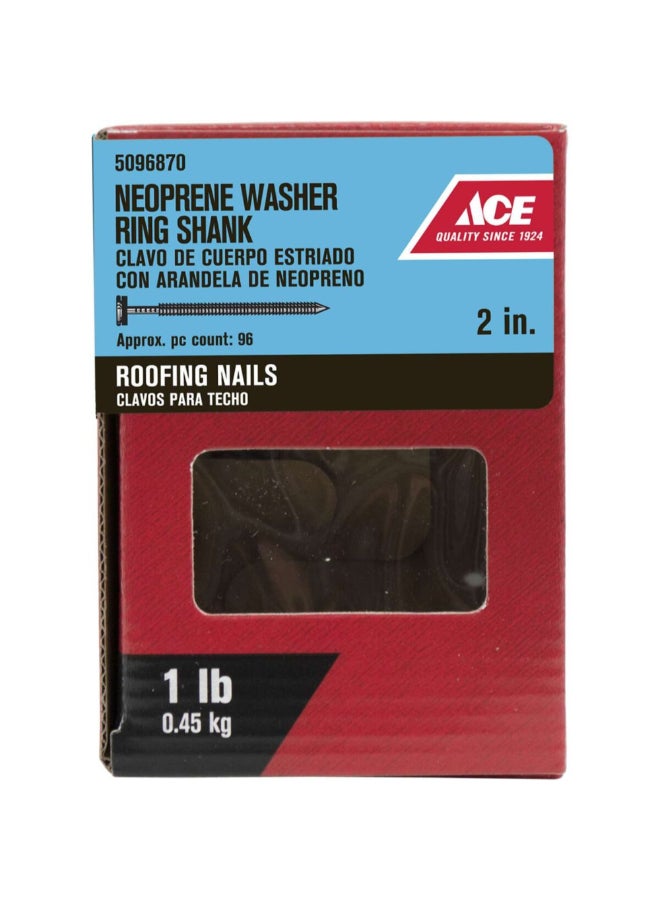 ACE Roofing Nails with Neoprene Washer Ring Shank Silver 2inch ACE5096870 - Image 1