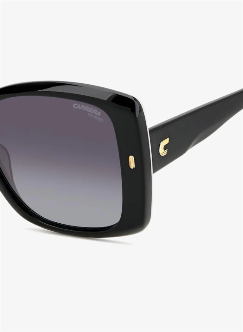 Carrera  Square Sunglasses Frames  | Best Price UAE