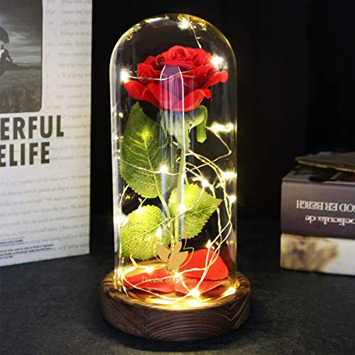 Dream of Flowers Beauty and The Beast Rose, Christmas Roses Gifts for Mom, Birthday Gift for Women, Light Up Rose in Glass Dome, Eternal Rose Flower Gifts for Her, Roses Gifts Girlfriends for Wife - Image 4