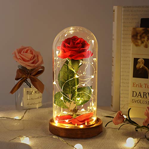 Dream of Flowers Beauty and The Beast Rose, Christmas Roses Gifts for Mom, Birthday Gift for Women, Light Up Rose in Glass Dome, Eternal Rose Flower Gifts for Her, Roses Gifts Girlfriends for Wife - Image 1