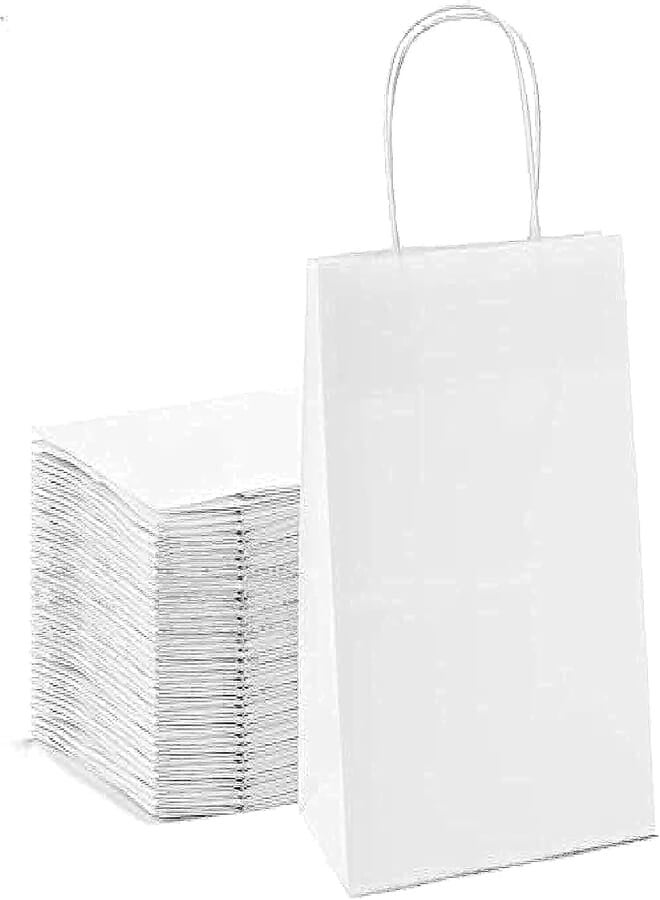Generic 25 white 100 gm medium sized handle kraft bag 24cm*30cm*12cm 